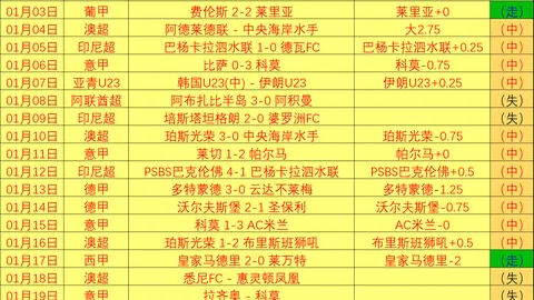 [德甲]北美因茨客场击败海登海姆