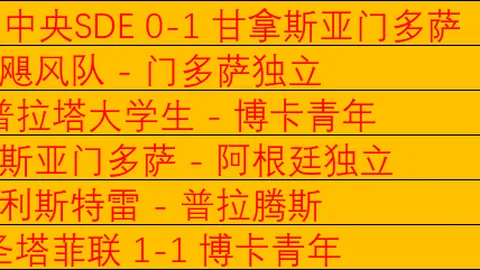 張琳芃目前無態度疑雜，实则力有不逮！